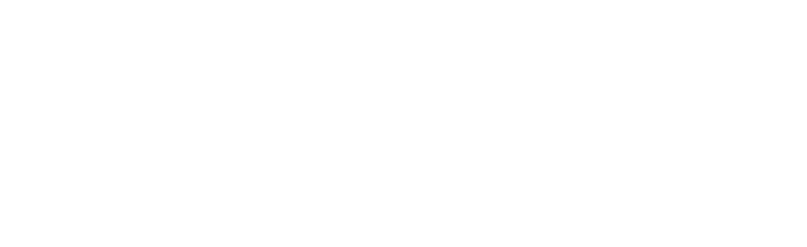 Duel Stag Logo
